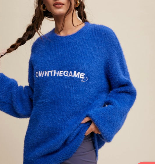 Own the game sweater